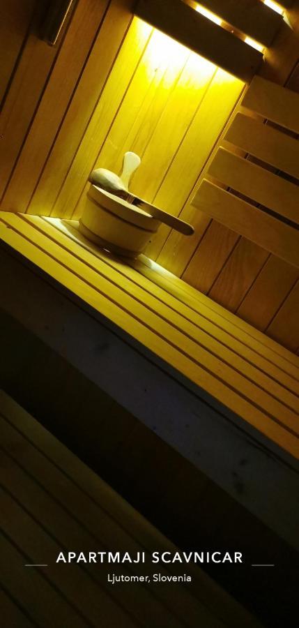 Apartments And Wellness Scavnicar Ljutomer Ngoại thất bức ảnh