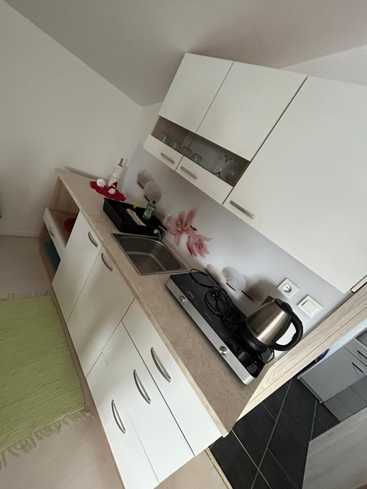 Apartments And Wellness Scavnicar Ljutomer Ngoại thất bức ảnh